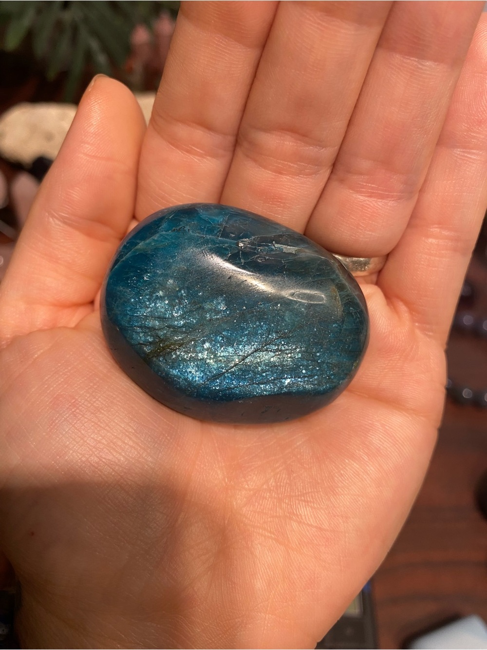 Blue Apatite Palm Stone - Picture 11 of 13